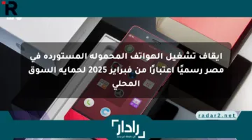 إيقاف تشغيل الهواتف المحمولة المستوردة في مصر رسميًا اعتبارًا من فبراير 2025 لحماية السوق المحلي